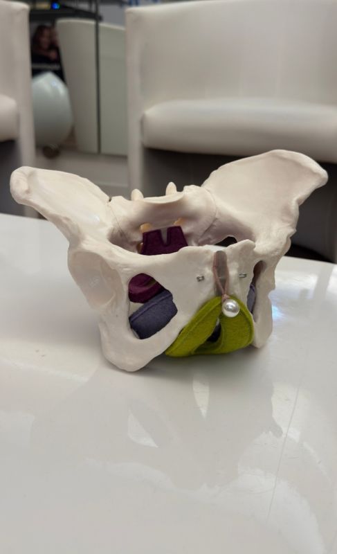 Unterstützt die Aktivierung Ihrer Tiefenmuskulatur